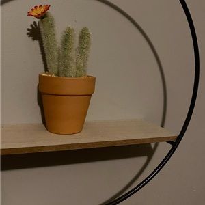 artificial cactus decor !!